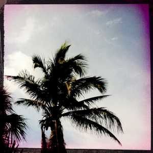 Hip 334877470.256972