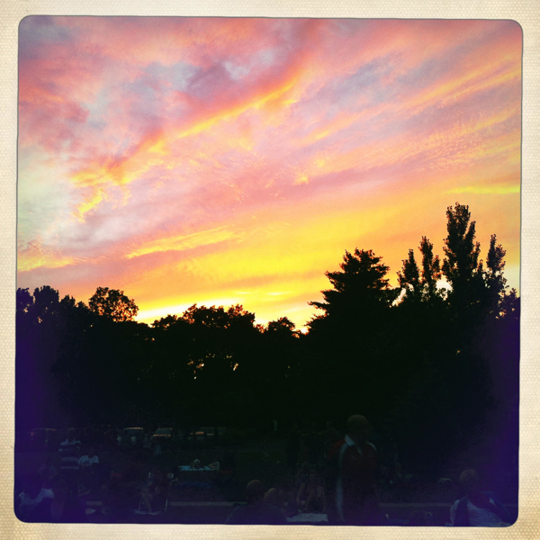 Hip 331519356.205667