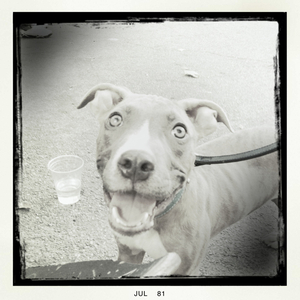 Hip 333757997.903807