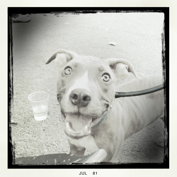 Hip 333757997.903807