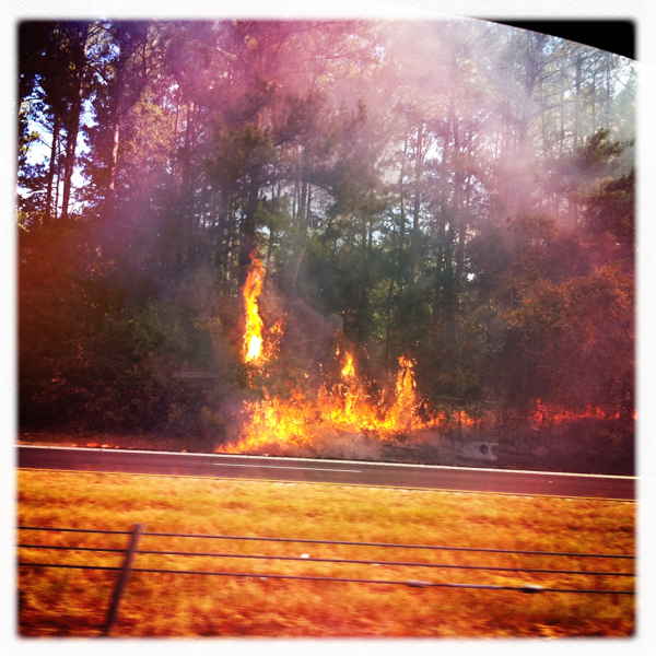 Hip 334878103.484042