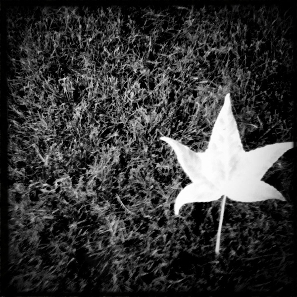 Hip 334378983.027647