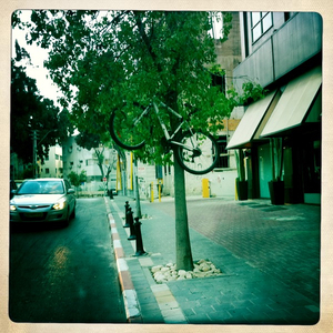 Hip 334599263.242315