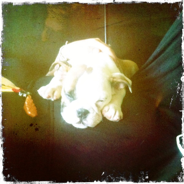 Hip 334799151.051847