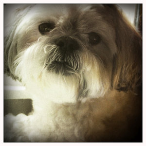 Hip 331677275.679823