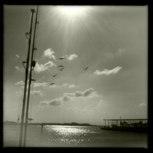 Hip 323359415.845114