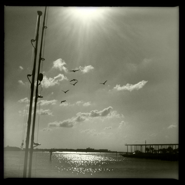 Hip 323359415.845114