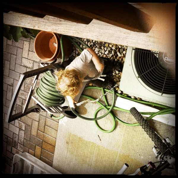 Hip 334446302.562522