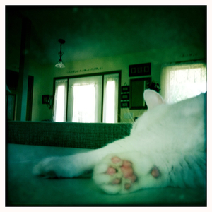 Hip 331847481.324110