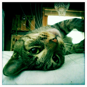 Hip 332892416.525540