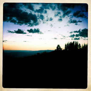 Hip 334894594.382295