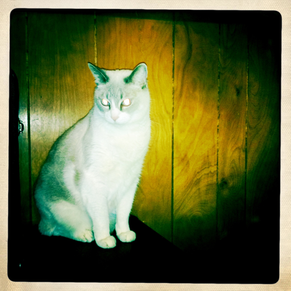 Hip 334903950.712506