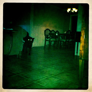 Hip 334904152.358023