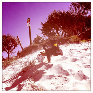 Hip 334902866.537126