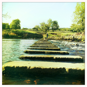 Hip 334601647.645438