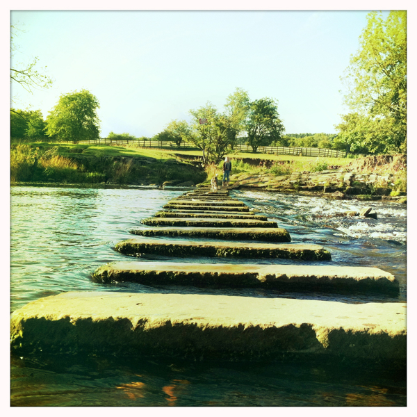 Hip 334601647.645438