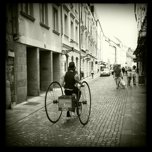 Hip 334421137.636851