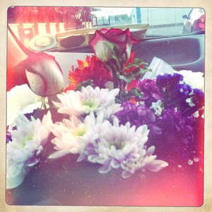 Hip 333481065.809495