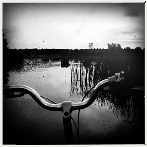 Hip 333888940.418695