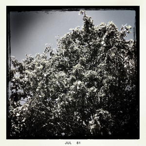 Hip 333466664.213512