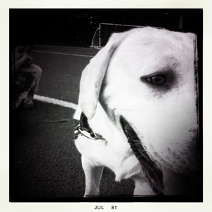 Hip 333057316.242379