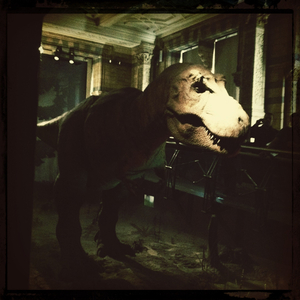 Hip 322759827.421655