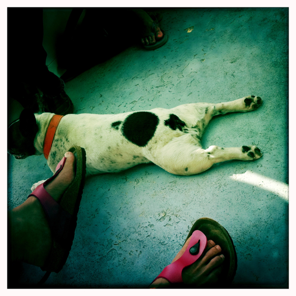 Hip 334514077.336420