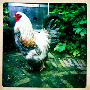 Hip 334925842.962838