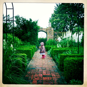 Hip 328979573.219133