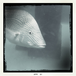 Hip 325865475.004063