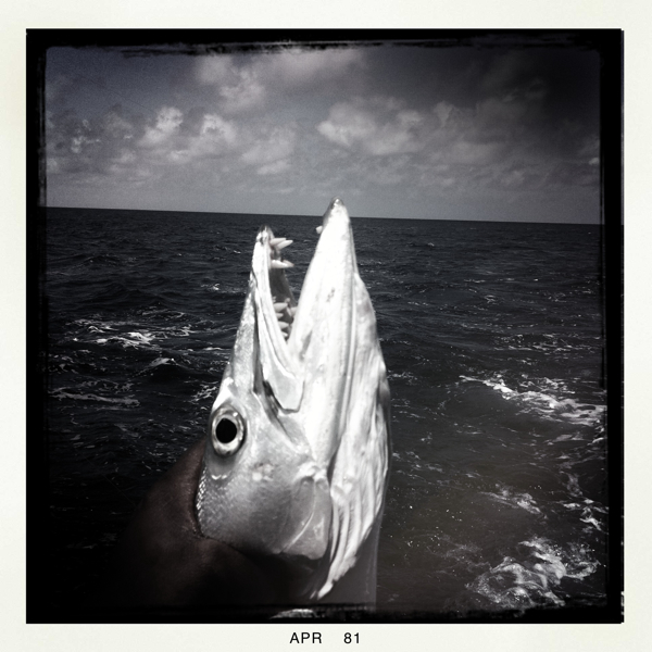 Hip 325594500.778027