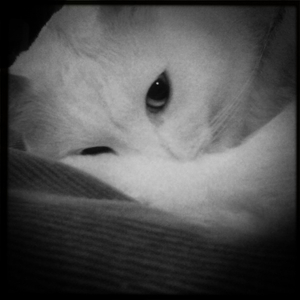 Hip 315351492.506450