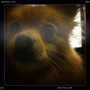 Hip 334933338.104708