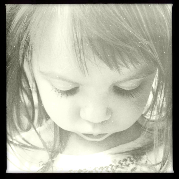 Hip 333226379.042635