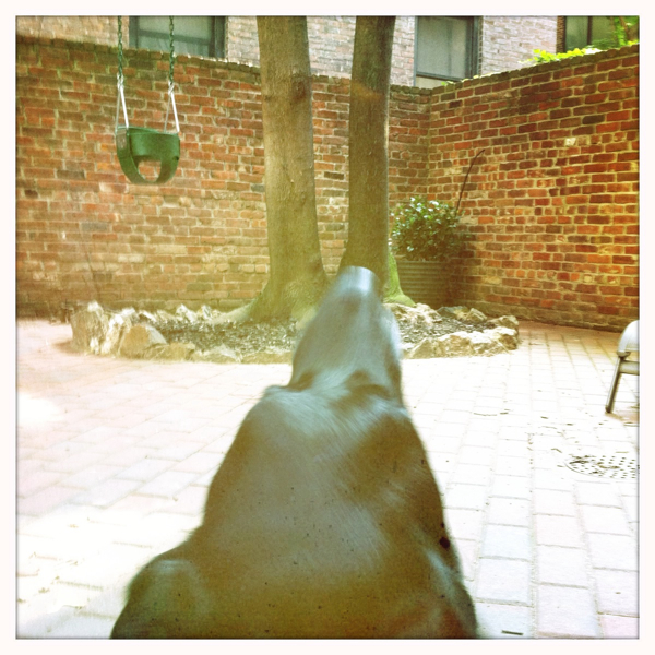 Hip 329868254.529328