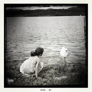 Hip 334939025.587717