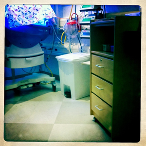 Hip 334660429.799899