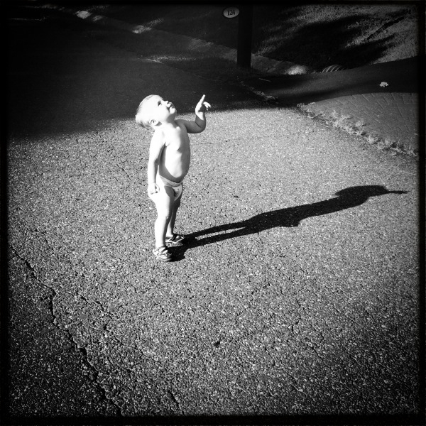 Hip 334879440.520238