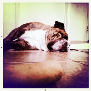 Hip 310600790.452292