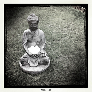 Hip 334942716.526942