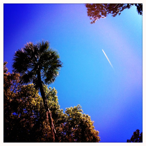 Hip 323548924.300699