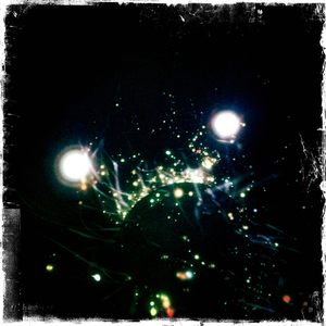 Hip 334915226.216429