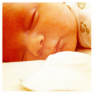 Hip 334946952.618362