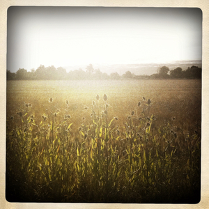 Hip 333470644.652993