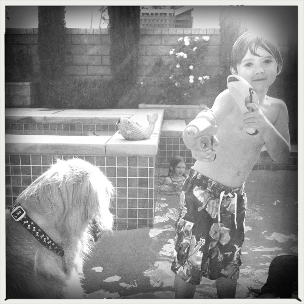 Hip 334942625.636689