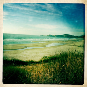 Hip 334891250.039682