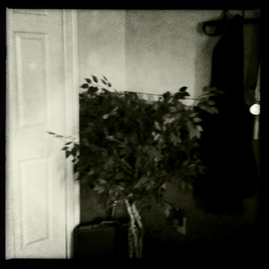 Hip 334950249.485713