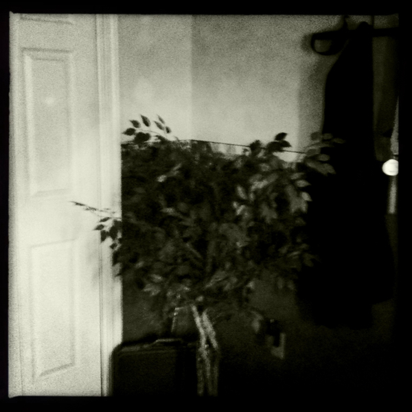 Hip 334950249.485713