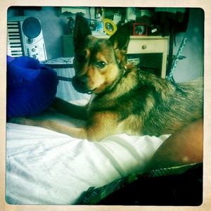 Hip 334951706.763978