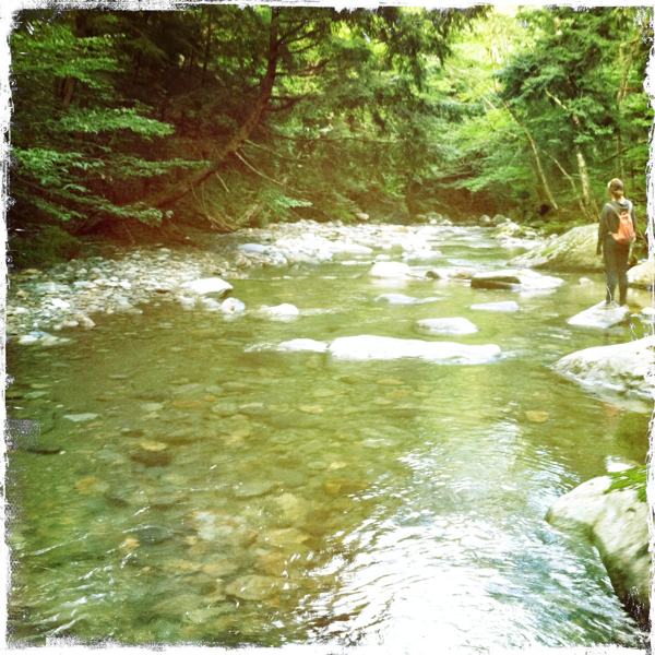 Hip 334878140.263588